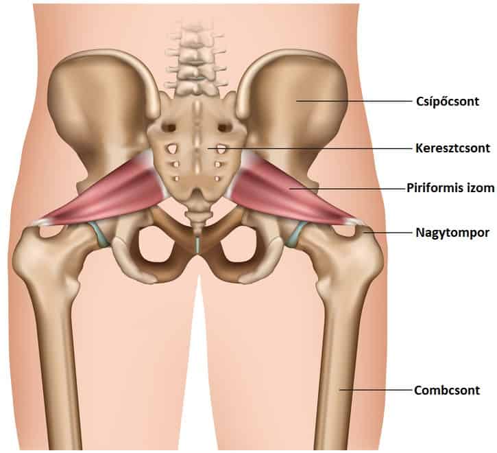 csípő és térdbetegségek hogyan lehet enyhíteni a gyulladást a bokaízület artrózisával